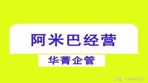 從戰略到執行 阿米巴咨詢公司的全方位解決方案