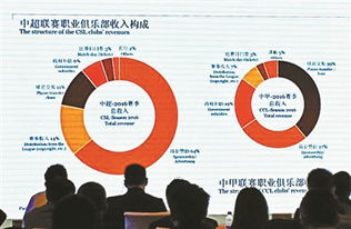 2016賽季虧損總額接近50億元 中超中甲花的遠比掙的多