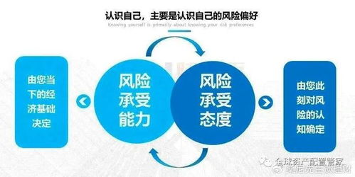 投基策略 最近大火的 收蛋攻略 ,你知道嗎